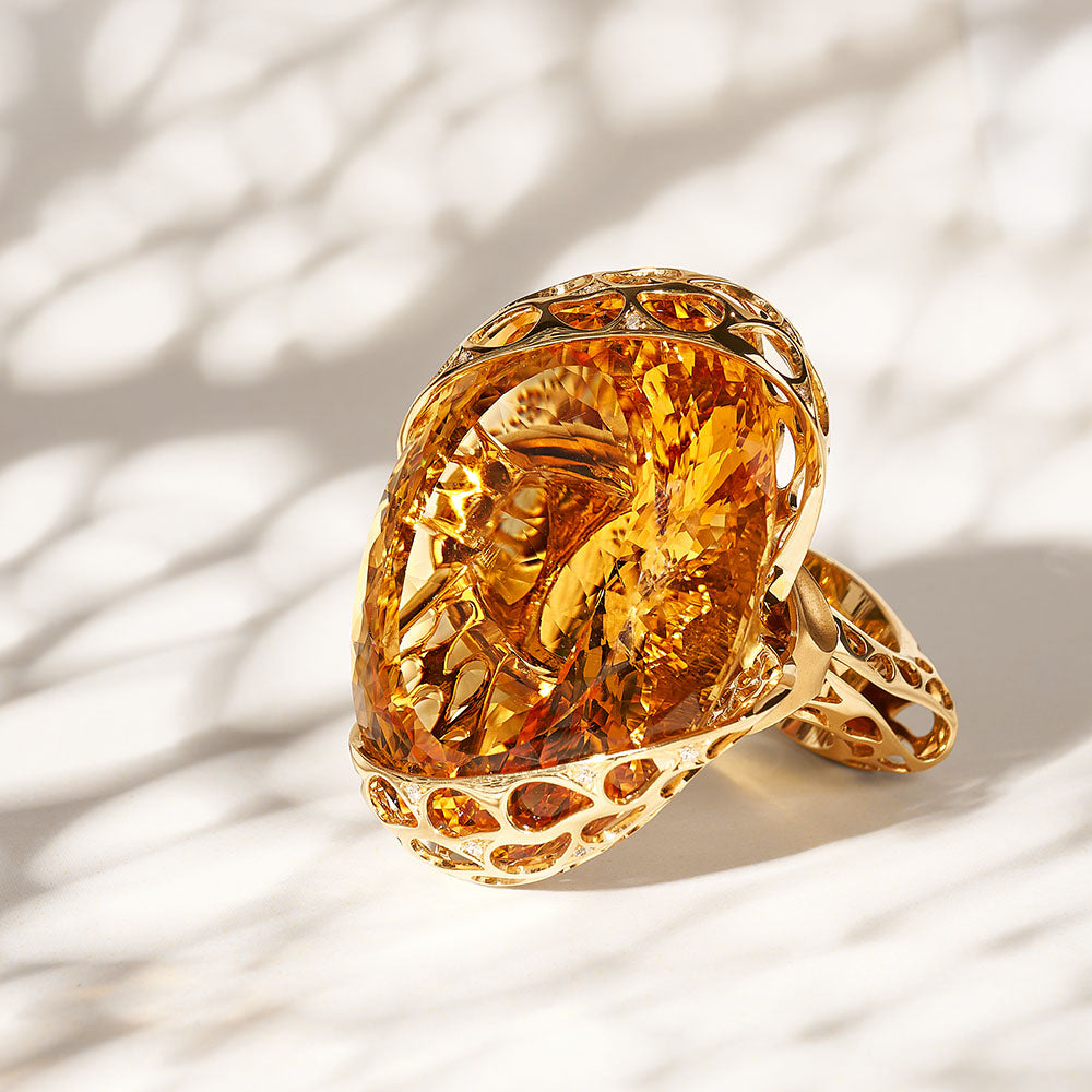 Coral Reef collection