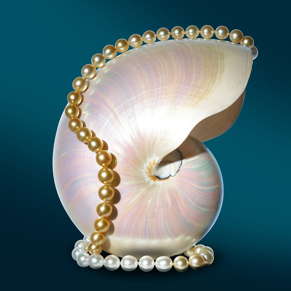 Undina Collection